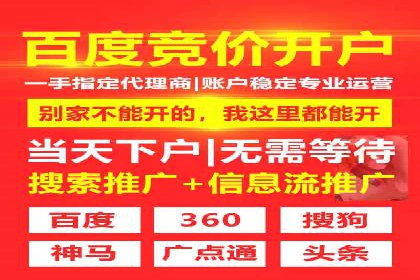 百度竞价排名策略优化：某公司广告投放效果翻倍的秘诀